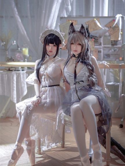 巡回检察组
