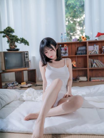 仓鼠