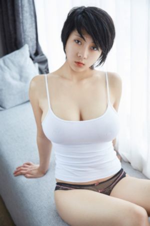 宠物情人